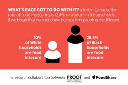 Household food insecurity separated by race.